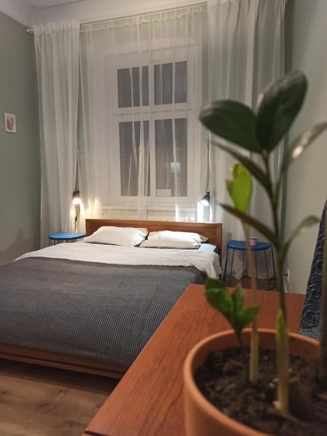 Apartament Rozeta Centrum 6Os Legnica Kültér fotó