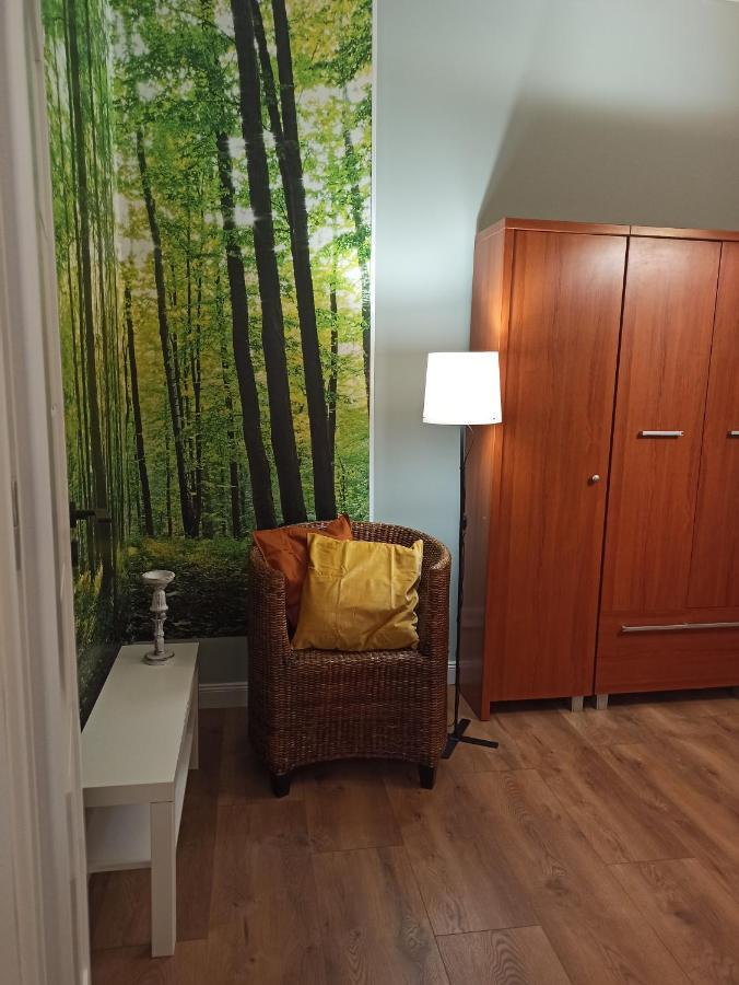 Apartament Rozeta Centrum 6Os Legnica Kültér fotó