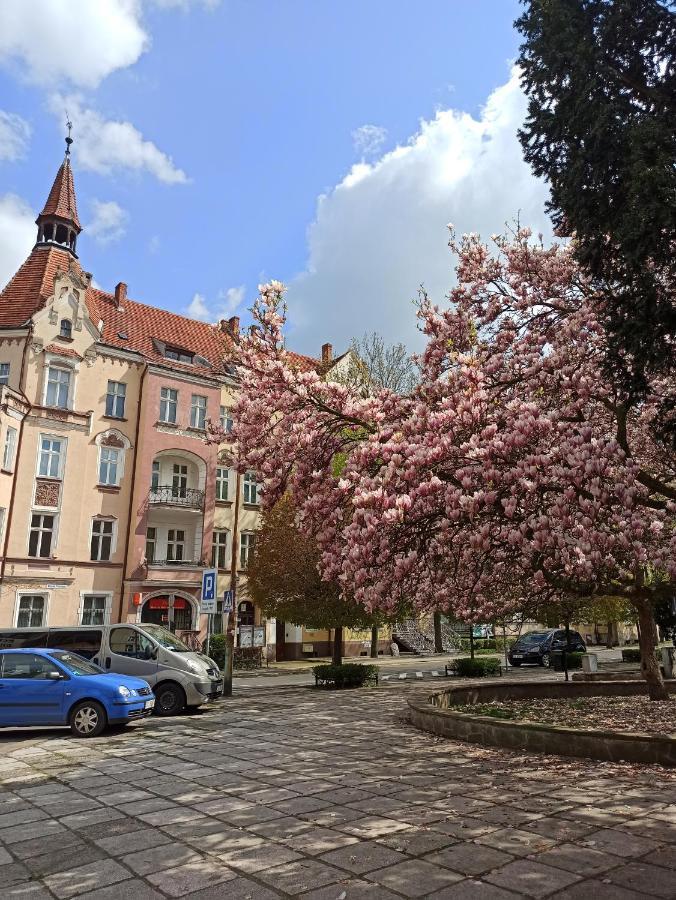 Apartament Rozeta Centrum 6Os Legnica Kültér fotó