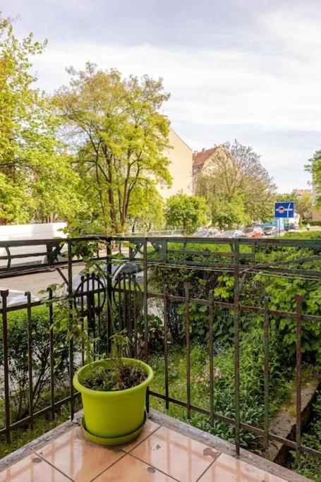 Apartament Rozeta Centrum 6Os Legnica Kültér fotó