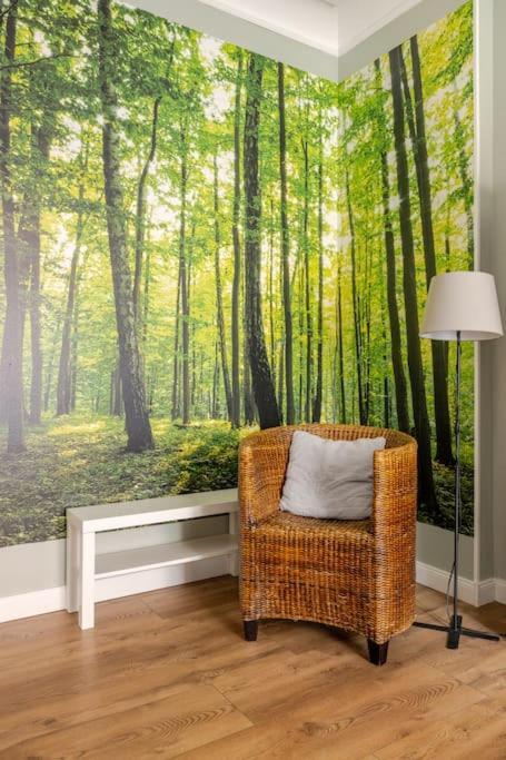 Apartament Rozeta Centrum 6Os Legnica Kültér fotó